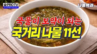 국거리 나물 11선