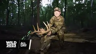 Waypoint TV's Wild 2023 - Celebrating The Top 25 Adventures Of The Year