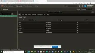 Obsolete Objects and Items Deletion in Oracle Apex (C6)