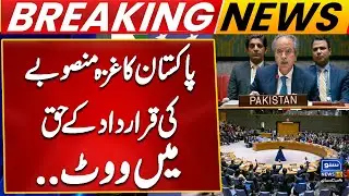 Pakistan Votes in Favor of Gaza Plan Resolution at UN Security Council Breaking News | Suno News HD