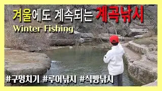 겨울 계곡에서는 어떤 물고기가 잡힐까요?  #꺽지#블루길 #계곡낚시