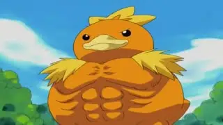 No Baton Pass Torchic Sweep Against Legendaries