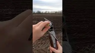 First woodcock hunt of the season