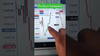 Perfect hammer #trading video #stock market #option trading #viral video