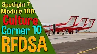 Spotlight 7 Модуль 10D. RFDSA