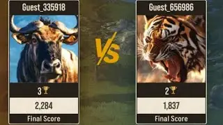 morya shorts 8426 is live