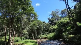 mountain hill similipal (Odisha) #odisha #similipal