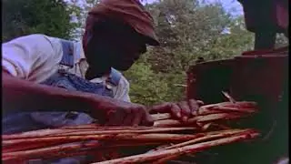 Homeplace trailer