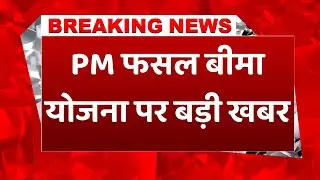 #BreakingNews: PM फसल बीमा योजना में इस फसल को शामिल करने की अपील