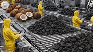 Dentro de la Fábrica de Carbón Activado de Coco: El Secreto del Agua Pura