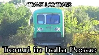 Trenuri în halta Pesac (Linia 217: Timișoara Nord - Periam - Nerău)