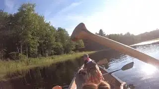 High Speed Paddle