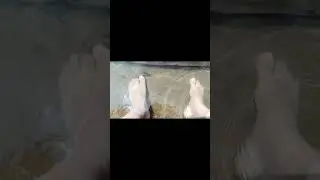 Natural Fish Foot Spa Experience | Relaxing Moments in Nature 🐟🦶🌿