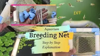 Aquarium Breeding Net| DIY| Step by Step| தமிழ்| Prasanth 360