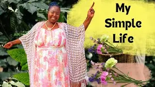A Simple Quiet Life In Lusaka Zambia  #simplelife #africa #zambia