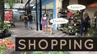 SHOPPING DI PET FRIENDLY MALL BANDUNG: CIWALK MALL & PET KINGDOM