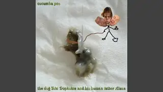 Insect Combat