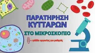 Μικροσκοπική Παρατήρηση Κυττάρων