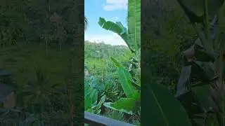 Ubud Escape at Pramana Kayon Jungle Bali Indonesia | Stefano Malachi