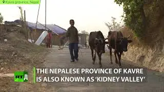 Organ traffickers in Nepal Kavre