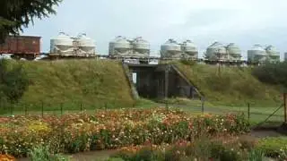 Fotozug mit V200 auf der Ostbahn &acute;07