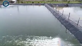 HDPE Fish Farm Pond Liner Geomembrane for Aquaculture