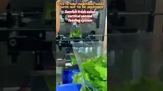 Green salad multi head weigher vffs vertical packaging machine,vegetable filling sealing system