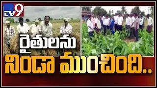 Huge loss for paddy, commercial crop growers in Coastal Andhra -TV9
