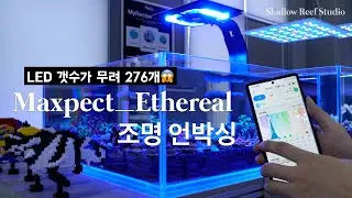 맥스펙트_이더럴, 이즈리얼 인피니트 조명 maxspect ethereal _언박싱