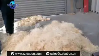 Fresh Log Wool Making Machine for Processing 300-500MM Log Length