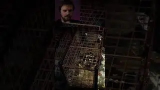 Не самое очевидное решение... #asylum #shorts #shortsvideo #horrorgaming #шортс #humor #lovecraft