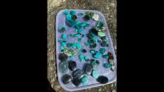 Tampilan Bacan Natural sehabis di jemur Matahari #bacan