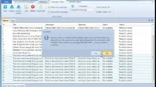 Mass Video Blaster PRO Review | Managing your videos