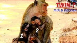 Pitiful poor baby Delena try hug mom Maria with Mia, What happen on feel poor Delena?