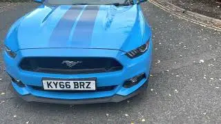 5.0 litre V8 Mustang