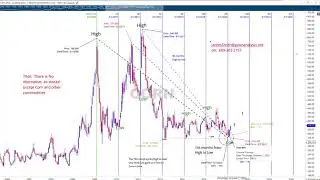 Secular Bull Market for Corn