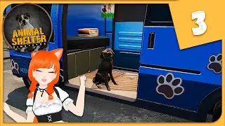 НАШ ПРИЮТ РАСТЕТ ► СИМУЛЯТОР ► Animal Shelter #3 Прохождение