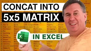 Excel - Place Items in a Risk & Severity Matrix Chart - Episode 1773