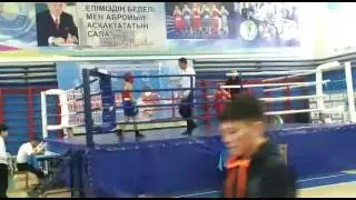 Арыстан Момыш бокс Атырау