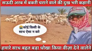 अरब में बकरी का काम!goat farming!saudi arab! indian work life! #kuwait  village! vlogs #arabic 
