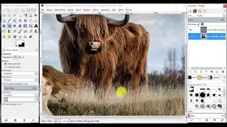 GIMP - 3 sposoby usuwania tła z obrazka/zdjęcia