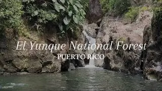 El Yunque Rainforest Hike - Puerto Rico