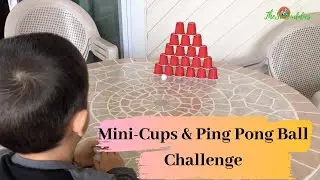 Mini Cups & Ping Pong Ball Challenge | TheSciBuddies #cupsandpingpongballchallenge #funkidschallenge