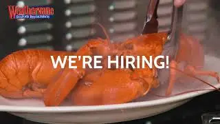 Weathervane is Hiring!