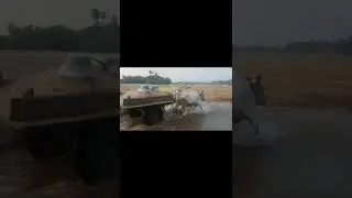 Ongole Bulls pulling in water💪💪💪 like and subscribe