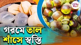 Bangla News | Talsas | Summer Fruit | গরমে  বরফ সাদা এই ফলে মেলে স্বস্তি