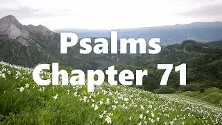 The Book of Psalms Chapter 71 - New King James Version (NKJV) - Audio Bible