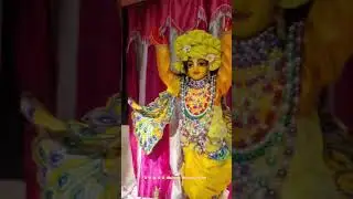 Dharshan Gour nitai Chandra in Mayapur Dham #radheshyambhajan #fyp  #song #bhakthi #bhajans #aarti