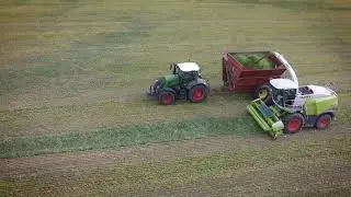 Woldt Farms 2019