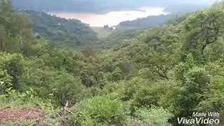 Taal se taal mail